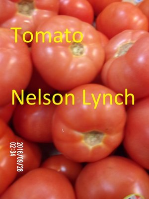 cover image of Tomato